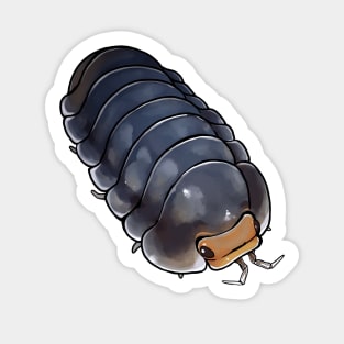 Cubaris "Pak Chong" Isopod Sticker